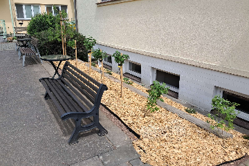 Jaro, to jsou především květy - 4