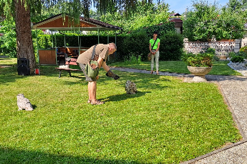 Ukázka výcviku dravých ptáků a sov - 9