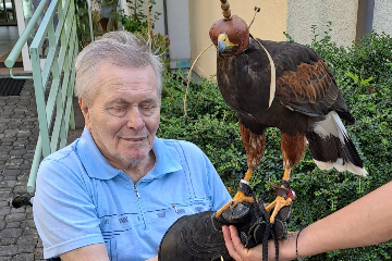 Ukázka výcviku dravých ptáků a sov - 15
