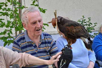 Ukázka výcviku dravých ptáků a sov - 17