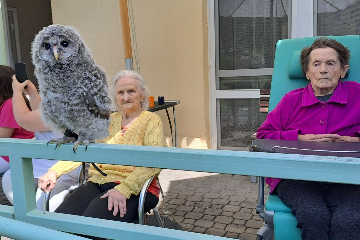 Ukázka výcviku dravých ptáků a sov - 1