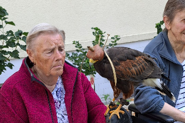 Ukázka výcviku dravých ptáků a sov - 18
