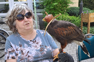 Ukázka výcviku dravých ptáků a sov - 21