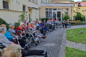 Ukázka výcviku dravých ptáků a sov - 3