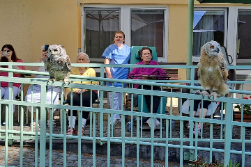 Ukázka výcviku dravých ptáků a sov - 5