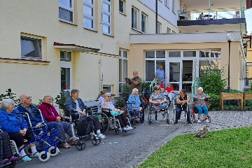Ukázka výcviku dravých ptáků a sov - 6