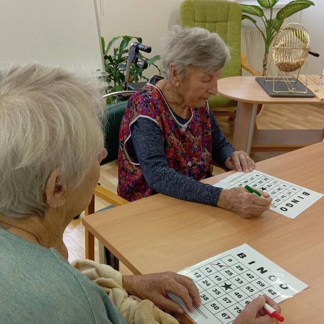 BINGO - 3